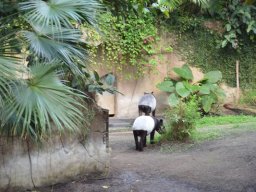 2015-04-18_Zoo_Leipzig
