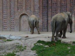 2015-04-18_Zoo_Leipzig