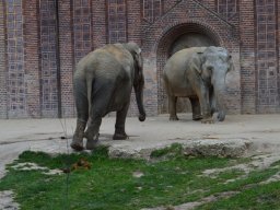 2015-04-18_Zoo_Leipzig