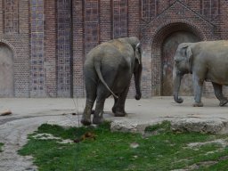 2015-04-18_Zoo_Leipzig