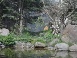 2015-04-18_Zoo_Leipzig