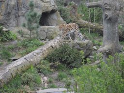 2015-04-18_Zoo_Leipzig