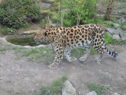 2015-04-18_Zoo_Leipzig