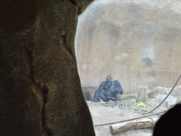 2015-04-18_Zoo_Leipzig