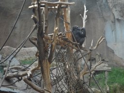 2015-04-18_Zoo_Leipzig