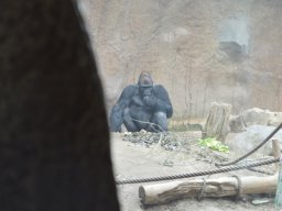 2015-04-18_Zoo_Leipzig