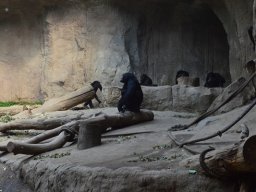 2015-04-18_Zoo_Leipzig