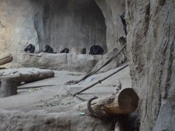 2015-04-18_Zoo_Leipzig