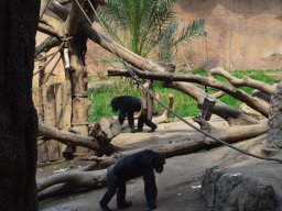2015-04-18_Zoo_Leipzig