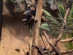 2015-04-18_Zoo_Leipzig