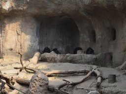 2015-04-18_Zoo_Leipzig