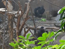 2015-04-18_Zoo_Leipzig