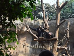 2015-04-18_Zoo_Leipzig