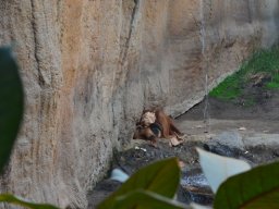 2015-04-18_Zoo_Leipzig