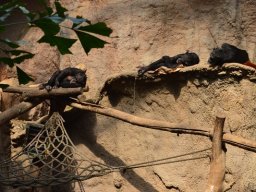 2015-04-18_Zoo_Leipzig