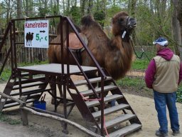 2015-04-18_Zoo_Leipzig