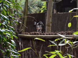 2015-04-18_Zoo_Leipzig