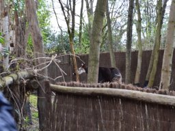 2015-04-18_Zoo_Leipzig