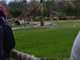 2015-04-18_Zoo_Leipzig