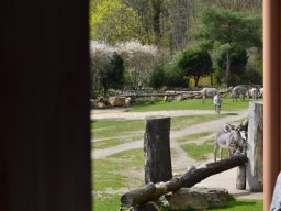 2015-04-18_Zoo_Leipzig