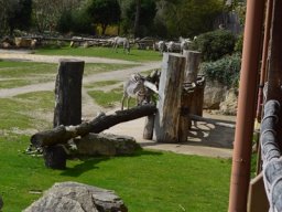 2015-04-18_Zoo_Leipzig