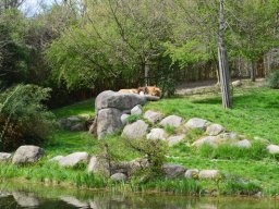 2015-04-18_Zoo_Leipzig