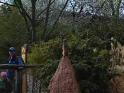 2015-04-18_Zoo_Leipzig