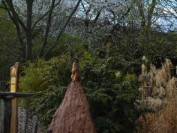 2015-04-18_Zoo_Leipzig