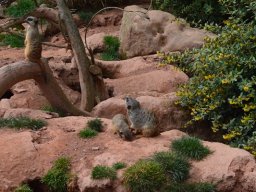 2015-04-18_Zoo_Leipzig