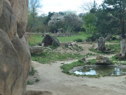 2015-04-18_Zoo_Leipzig
