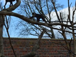 2015-04-18_Zoo_Leipzig