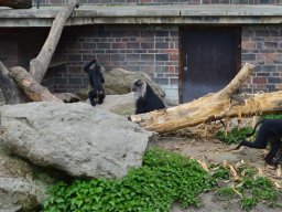 2015-04-18_Zoo_Leipzig