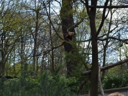 2015-04-18_Zoo_Leipzig