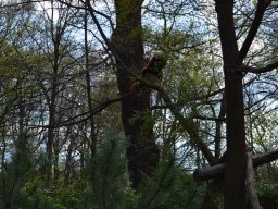 2015-04-18_Zoo_Leipzig