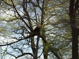 2015-04-18_Zoo_Leipzig