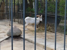 2015-04-18_Zoo_Leipzig