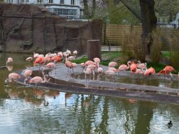2015-04-18_Zoo_Leipzig