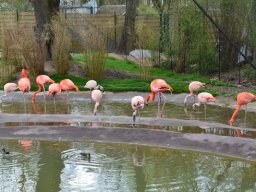 2015-04-18_Zoo_Leipzig