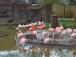2015-04-18_Zoo_Leipzig