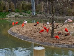 2015-04-18_Zoo_Leipzig