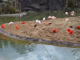 2015-04-18_Zoo_Leipzig