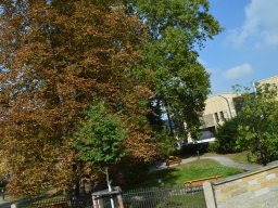 2017-09-22_23_Dresden